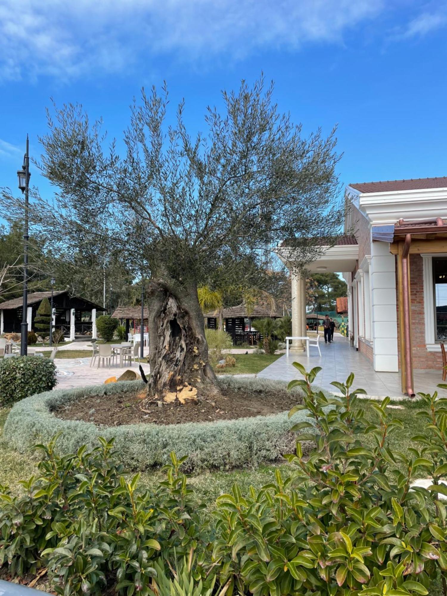 Agroturizem Eldi Hotel Fier Exterior photo